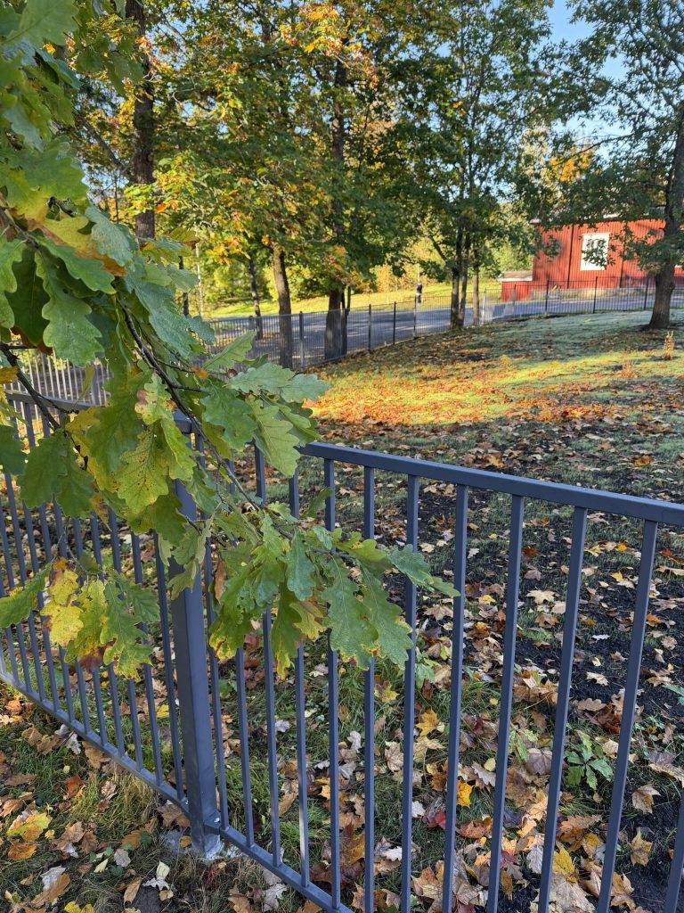 Koivulan kerhotalon RTC-pystypinna-aita lasten leikkipaikan ympärillä
